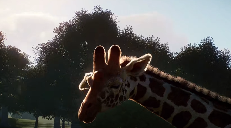 动物园之星发售日期是什么时候 动物园之星发售日期介绍