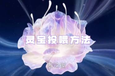 王者荣耀灵宝投喂方法