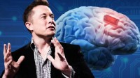 马斯克称脑机接口试验情况良好 本周有望宣布新进展