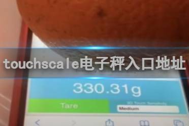 touchscale屏幕电子秤入口地址