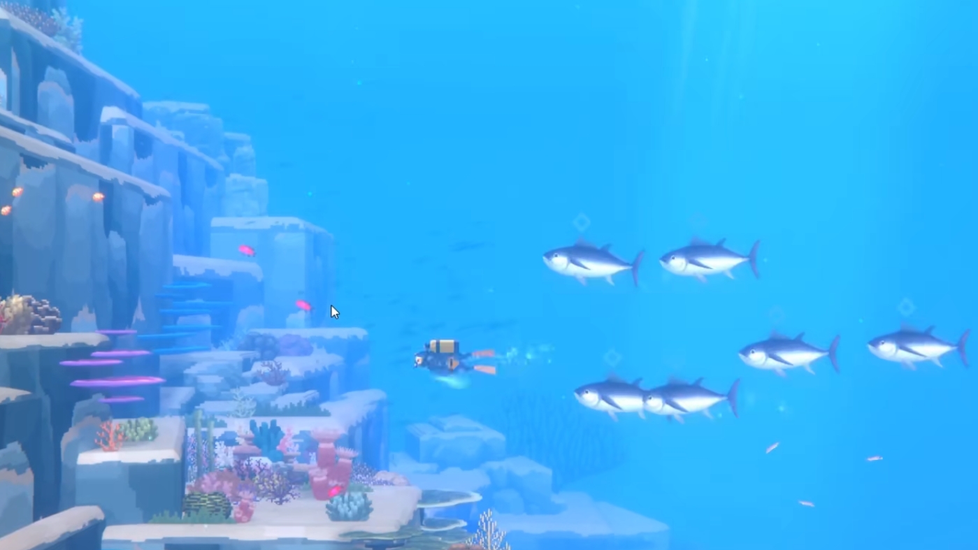 潜水员戴夫网枪可以抓金枪鱼吗 潜水员戴夫金枪鱼抓捕攻略