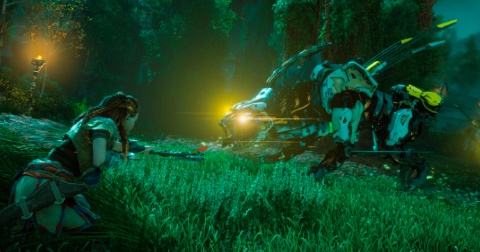 地平线零之曙光浣熊哪里比较多 地平线零之曙光捕猎浣熊攻略