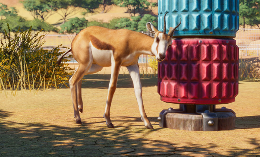 动物园之星在哪个平台 动物园之星在哪里能玩