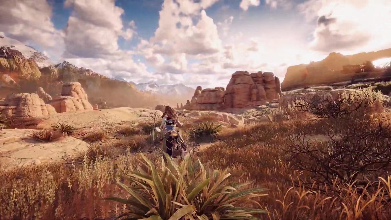 地平线零之曙光可以联机吗 地平线零之曙光游戏介绍