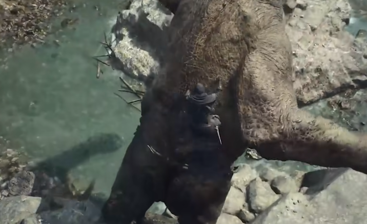 龙之信条2是单机吗 龙之信条2游戏模式介绍