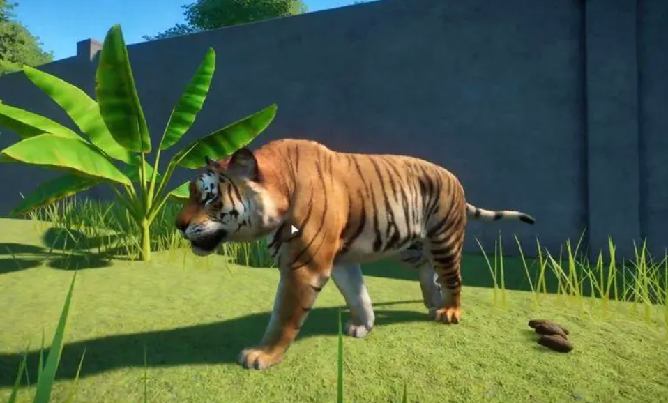 动物园之星湿度调节方法 动物园之星湿度如何调节