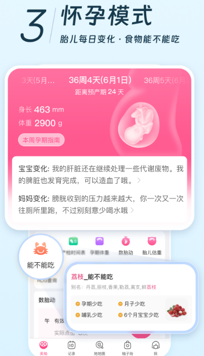 怀孕app软件哪个好排名 热门怀孕软件最新排行榜