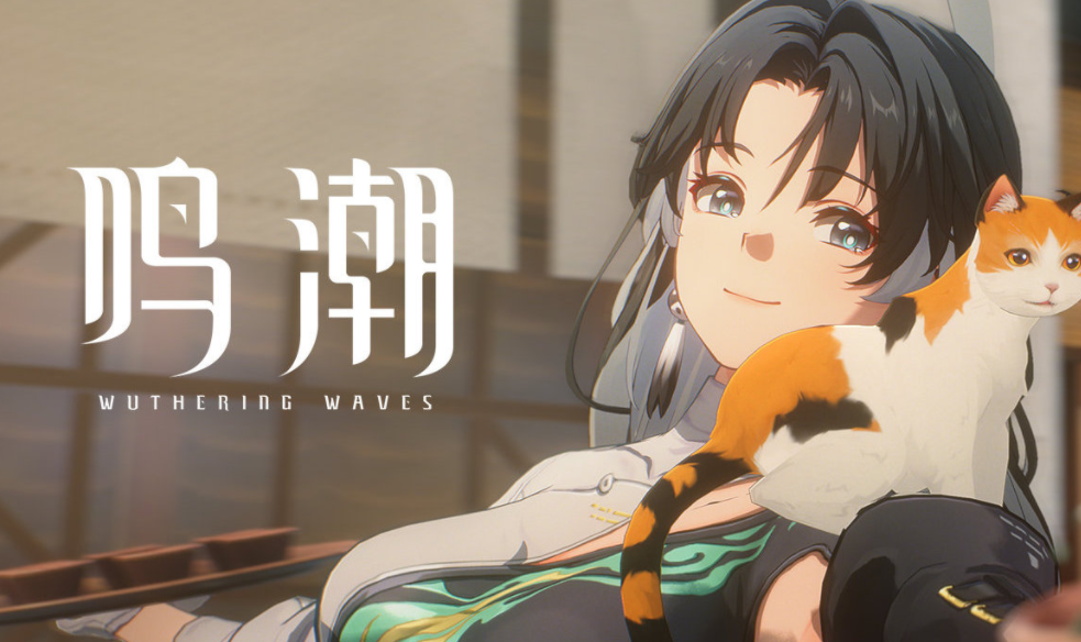 鸣潮全角色介绍 鸣潮角色有哪些