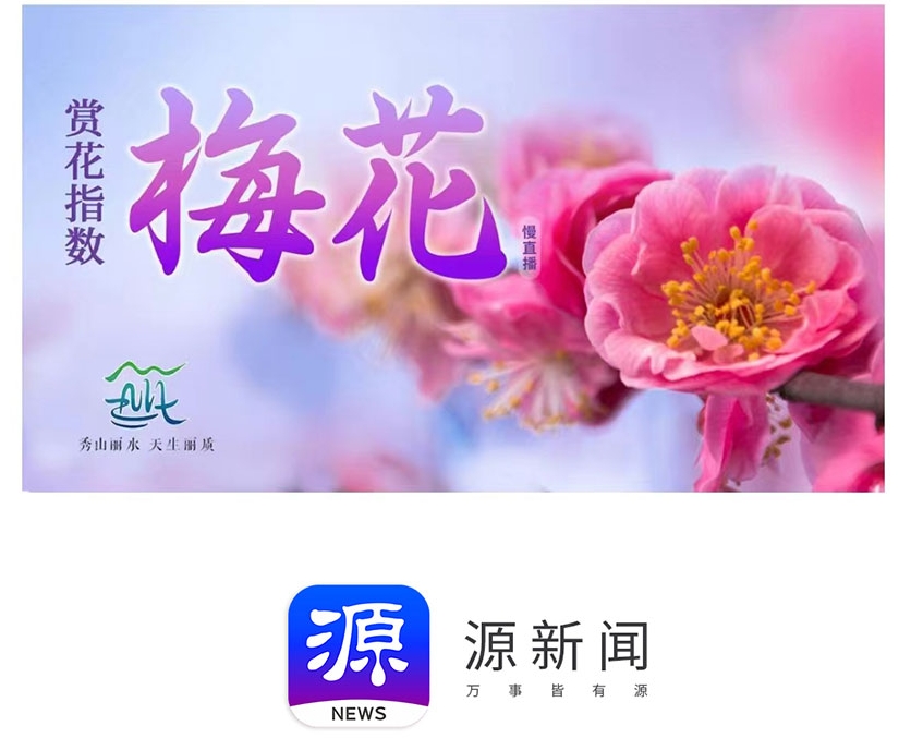 最好的新闻app有哪些 实时观看新闻的软件盘点