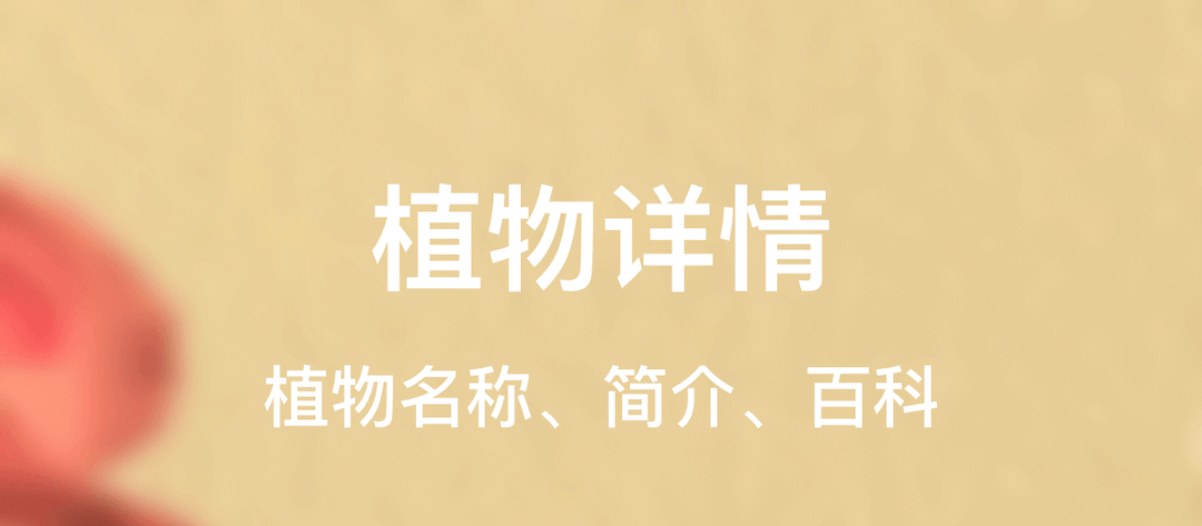 识别植物下载什么软件好 可以识别植物的APP下载有哪些