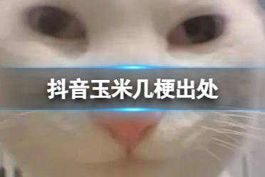 抖音玉米几梗出处讲解