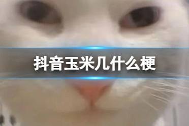 抖音玉米几什么梗讲解