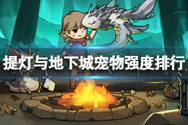 宠物强度排行2024 提灯与地下城