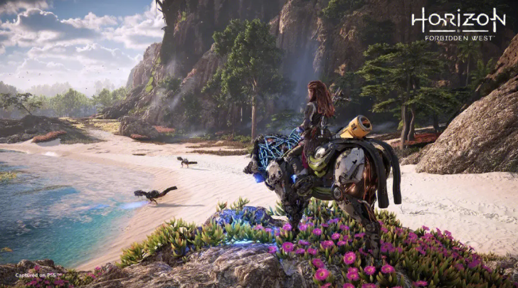 地平线西之绝境支持谁 地平线西之绝境支持塞拉还是瓦伦解析