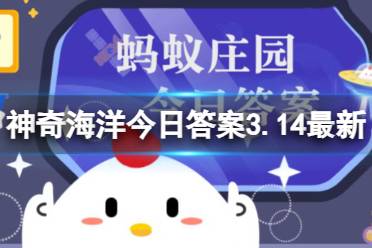 以下哪种海洋生物属于温血动物 神奇海洋今日答案3.14最新分享
