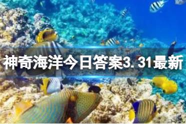 神奇海洋海洋牙科答案3.31 海洋鱼类的“牙科医生”是什么虾讲解