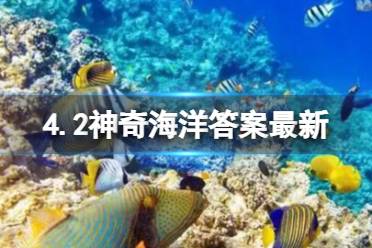 神奇海洋 4.2答案最新 被称为“海瓜子”的海洋动物是一种贝类吗讲解