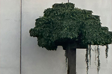 《我的世界》真人电影版片场照曝光！正在方块化ing盘点分享