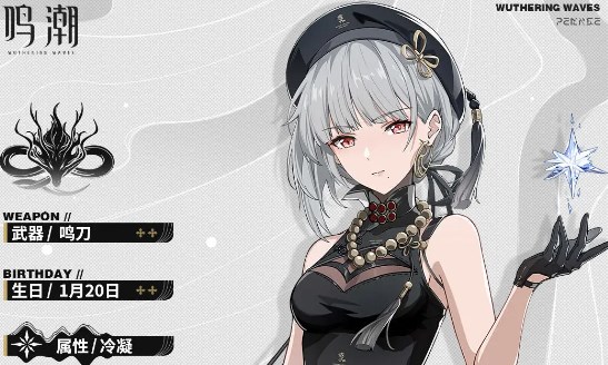 鸣潮散华强度怎么样盘点