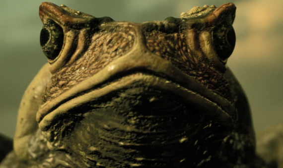 《鬼屋魔影重制版》：悄然来临的古神低语 讲解分析