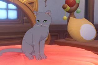 原神茸茸城堡大喵险活动第三天攻略分享