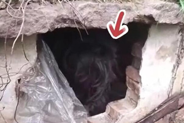 古墓派？大爷山上晨练发现坟里有人 抓捕后竟是逃犯盘点分析