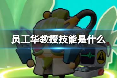 流浪超市员工华教授技能解读分享