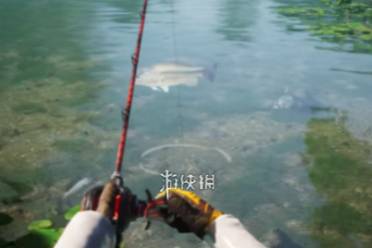 欢乐钓鱼大师真彩虹钓鱼攻略讲解