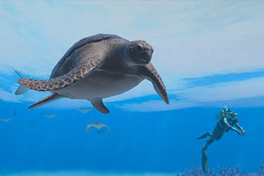 Switch新作《永恒蔚蓝：流光》新CM公开！5月发售 讲解分析