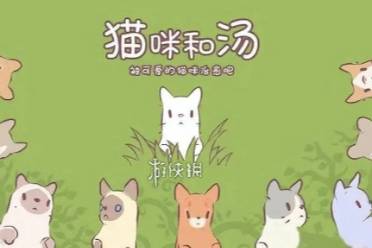 猫咪和汤快速升级方法分享