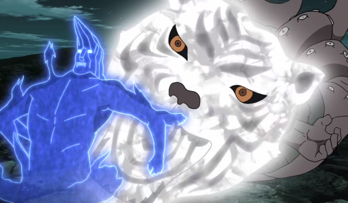 好好好 虎扑也算虎？盘点热门“虎类”人气Top10！盘点分享