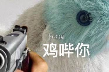 鸡哔你表情包大全一览