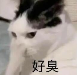 同事：“天天带饭是因为穷吗？”盘点5种情商逆天回复 盘点分享