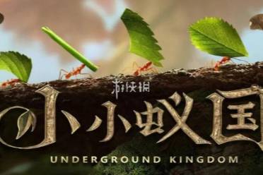 小小蚁国蚁后升级仓库前置条件介绍盘点