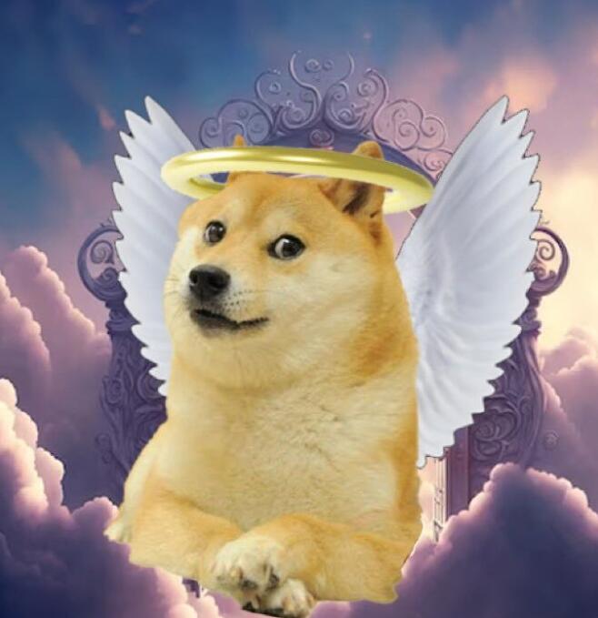 传奇表情包“Doge”原型 今日离世 网红柴犬Kabosu