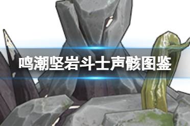 《鸣潮》坚岩斗士声骸图鉴一览