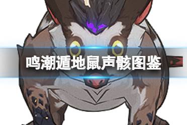 《鸣潮》遁地鼠声骸图鉴分析