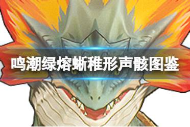 《鸣潮》绿熔蜥（稚形）声骸图鉴分析