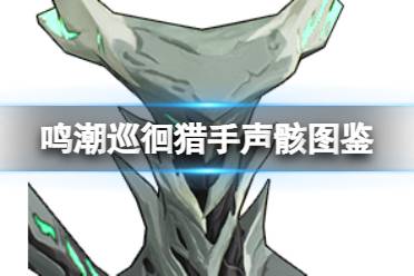 《鸣潮》巡徊猎手声骸图鉴讲解