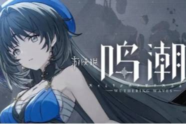 鸣潮声骸回退方法解说