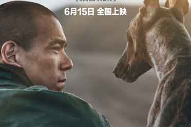 管虎《狗阵》曝终极预告、海报 彭于晏和狗无声相望 盘点