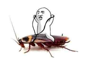 奇怪的知识增加了：蟑螂的速度竟然和高铁一样快！解析