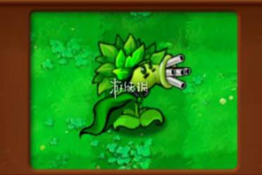 植物大战僵尸杂交版狂野机枪射手属性介绍解析