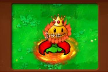 植物大战僵尸杂交版向日葵女王属性介绍分享