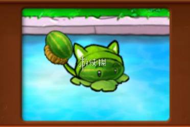 植物大战僵尸杂交版西瓜香蒲属性介绍盘点
