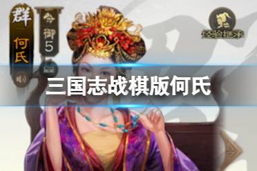 《三国志战棋版》何氏阵容搭配讲解