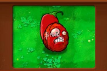 植物大战僵尸杂交版火爆坚果墙属性介绍讲解