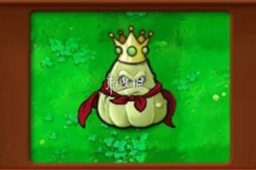 植物大战僵尸杂交版影流窝瓜王属性介绍讲解