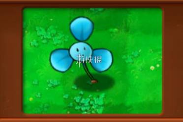 植物大战僵尸杂交版寒冰三叶草属性介绍分析
