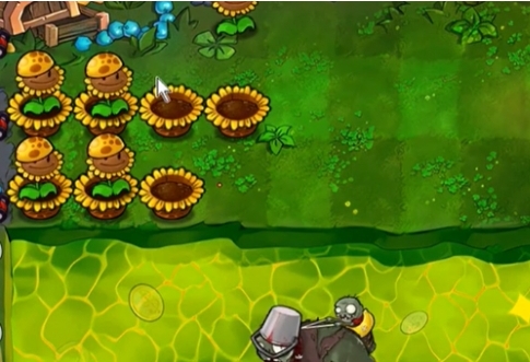 植物大战僵尸杂交版冒险模式64过关方法解析